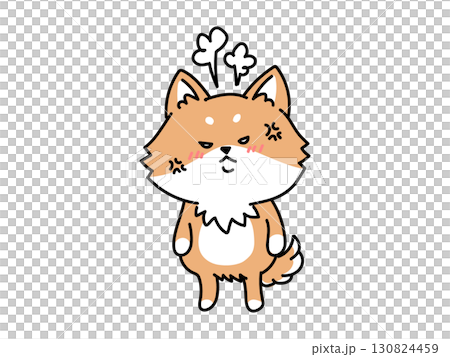 憤怒的柴犬 130824459