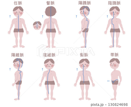 奇経八脈の大まかな流注を男性の身体で表したイラスト 130824698