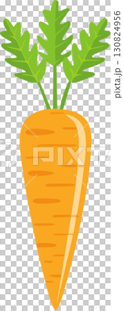 Illustration of cute carrot 130824956