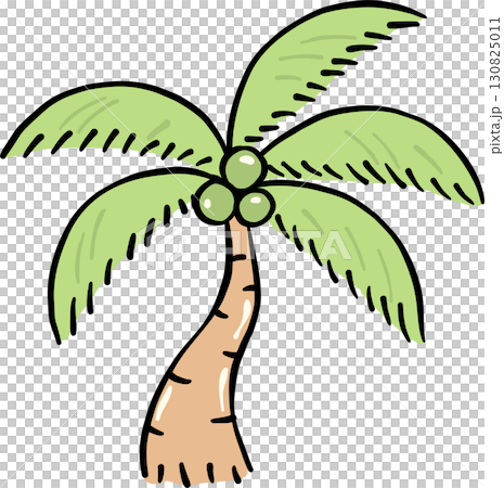 Coconut Palm Tree Hand Drawn, Summer Fisherman Aesthetic 130825011