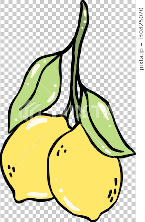 Illustration of Two Lemons with Leaves Illustration of Two Lemons with Leaves 130825020