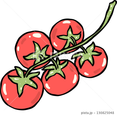 Hand Drawn of Vine-Ripened Tomatoes Hand Drawn of Vine-Ripened Tomatoes 130825048