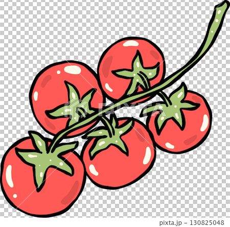 Hand Drawn of Vine-Ripened Tomatoes Hand Drawn of Vine-Ripened Tomatoes 130825048