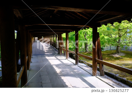 新緑の東福寺通天橋 130825277