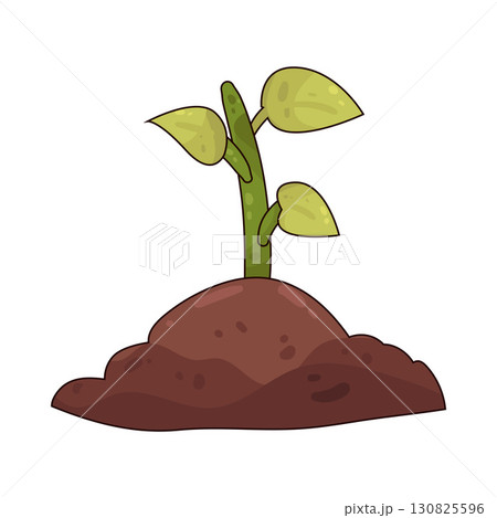 illustration of sprout illustration of sprout 130825596