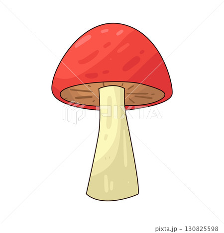 illustration of mushroom 130825598