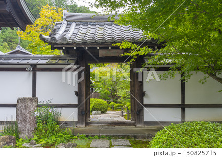 圓光寺 中門 新緑の季節 圓光寺 中門 新緑の季節 130825715