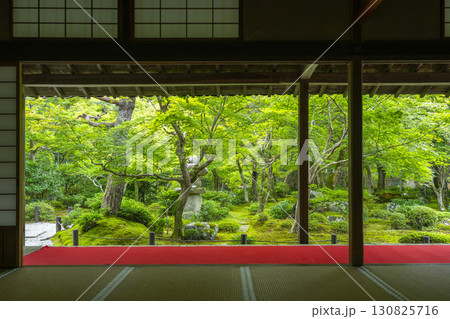 京都　圓光寺　新緑が美しい十牛之庭 130825716