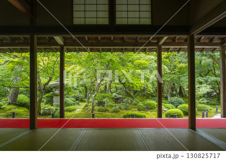 京都　圓光寺　新緑が美しい十牛之庭 130825717