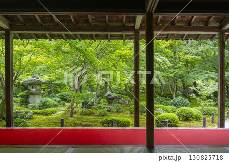 京都 圓光寺 新緑が美しい十牛之庭 京都 圓光寺 新緑が美しい十牛之庭 130825718