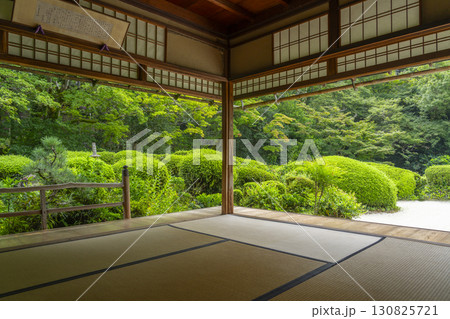 京都 新緑の詩仙堂 額縁庭園 京都 新緑の詩仙堂 額縁庭園 130825721