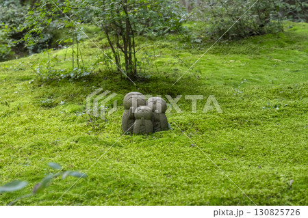 詩仙堂 苔むした庭園にたたずむ愛らしいお地蔵様 詩仙堂 苔むした庭園にたたずむ愛らしいお地蔵様 130825726