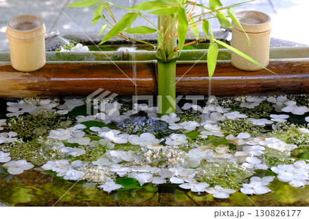 梅雨時の手水舎 130826177