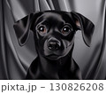 黒い子犬と黒い布 130826208