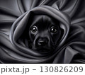 黒い布に包まれた黒い子犬 130826209
