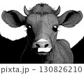 モノトーンの仔牛のイラスト 130826210