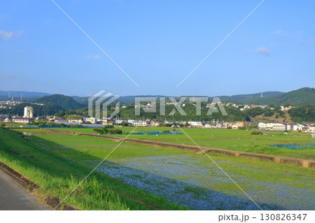 静岡県・伊豆の国市・田園風景 静岡県・伊豆の国市・田園風景 130826347