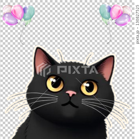 black and white cat with ball of soccer ball black and white cat with ball of soccer ball 130827525