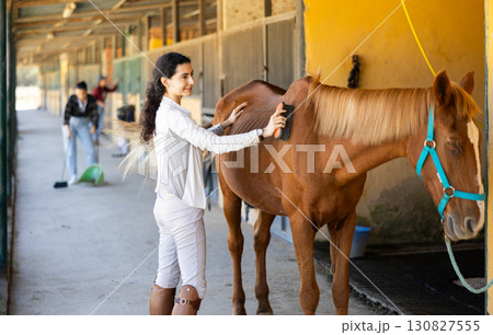Armenian girl has tied horse to hitching post and is combing animals croup Armenian girl has tied horse to hitching post and is combing animals croup 130827555