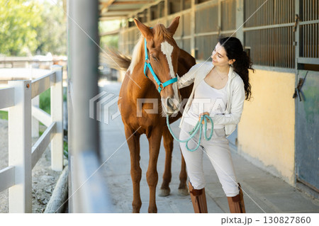 Armenian female worker takes horse out of stall, holds animal by bridle and leads pet for walk Armenian female worker takes horse out of stall, holds animal by bridle and leads pet for walk 130827860