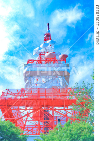 夏の青空に映えるテレビ塔 〜夏の湘南平にて〜 夏の青空に映えるテレビ塔 〜夏の湘南平にて〜 130828383
