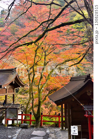 京の奥座敷 貴船神社の紅葉 130828515