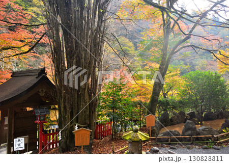 京の奥座敷 貴船神社の紅葉 130828811