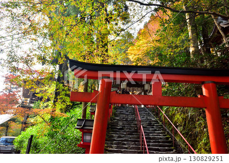 京の奥座敷 貴船神社の紅葉 130829251