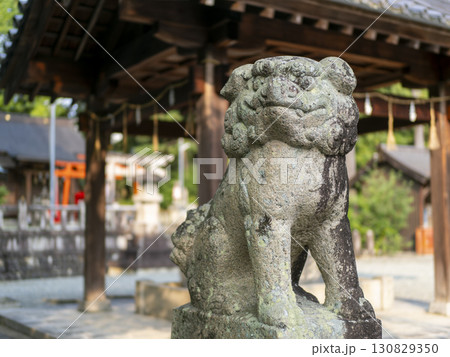 神社の狛犬と手水舎 神社の狛犬と手水舎 130829350