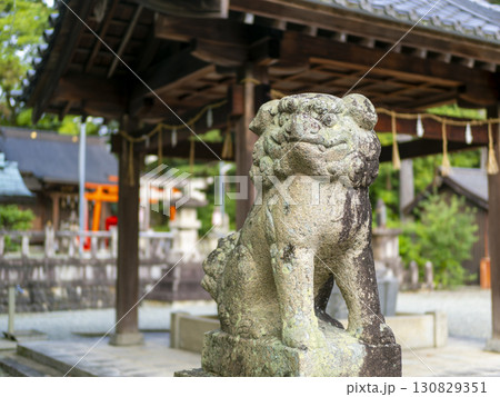 神社の狛犬と手水舎 神社の狛犬と手水舎 130829351