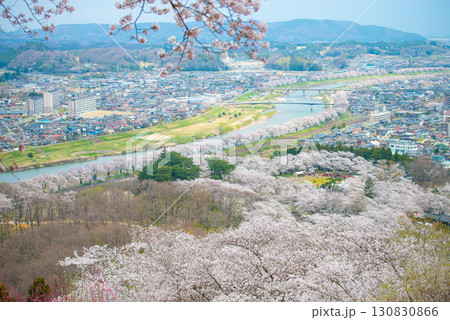 白石川堤一目千本桜　宮城県大河原町 130830866