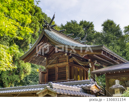 兵庫県川西市 八阪神社の本殿 兵庫県川西市 八阪神社の本殿 130831154