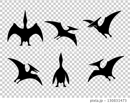 Pteranodon silhouette set illustration 130831473