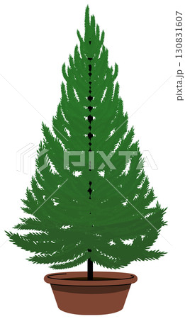 クリスマスツリー装飾なし、自然のままの輝き クリスマスツリー装飾なし、自然のままの輝き 130831607