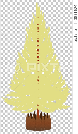 クリスマスツリー装飾なし、自然のままの輝き クリスマスツリー装飾なし、自然のままの輝き 130831624