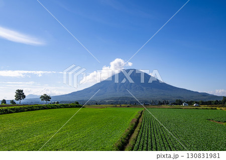 畑家越しに見る北海道の羊蹄山 130831981