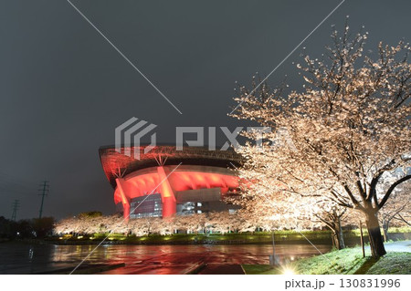 埼玉スタジアム　桜 130831996