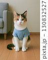床に座る子猫 130832527