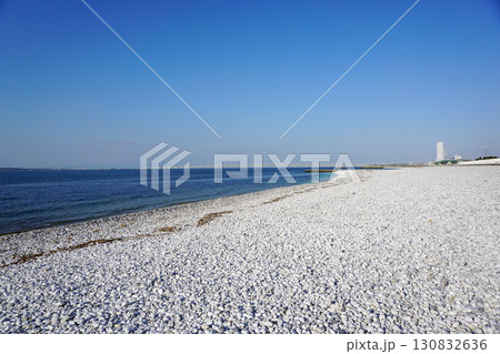 りんくう公園マーブルビーチ 130832636