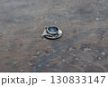 ミニチュアのティーカップ横構図二 130833147