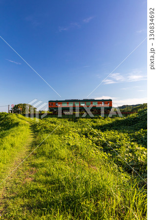 静岡県掛川市幡鎌　天竜浜名湖鉄道と沿線の風景 130834692