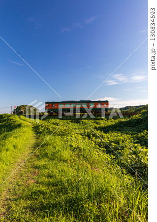 静岡県掛川市幡鎌 天竜浜名湖鉄道と沿線の風景 静岡県掛川市幡鎌 天竜浜名湖鉄道と沿線の風景 130834693