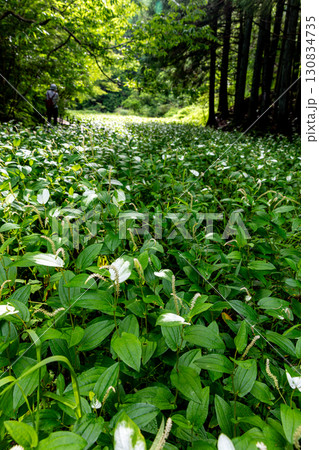 静岡県周智郡森町鍛治島　山里の風景 130834735