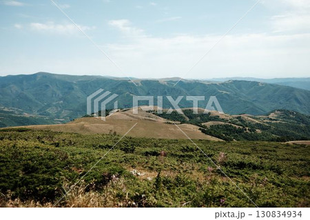 Mountain ridges of Stara Planina stretching across the horizon with forests and dry meadows. Serbia country 130834934