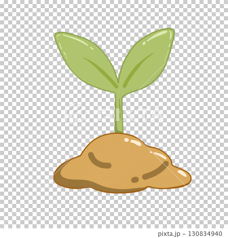 young plant with roots in the ground 130834940