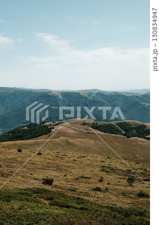 Wide meadow on Stara Planina with mountain slopes in the background under a bright blue sky. Serbia country. Wild horses graze in the distance Wide meadow on Stara Planina with mountain slopes in the background under a bright blue sky. Serbia country. Wild horses graze in the distance 130834947