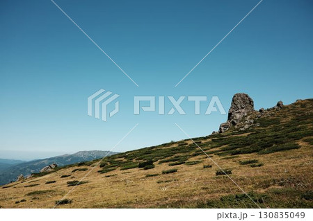 Rocky peak in Stara Planina, Serbia, rises above grassy mountain slopes under a bright blue sky. Babin Zub mount in summer season Rocky peak in Stara Planina, Serbia, rises above grassy mountain slopes under a bright blue sky. Babin Zub mount in summer season 130835049