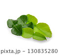 Bergamot kaffir lime leaves herb fresh ingredient isolated on white background. 130835280
