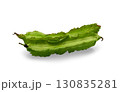 Winged bean isolated on white background with clipping path 130835281