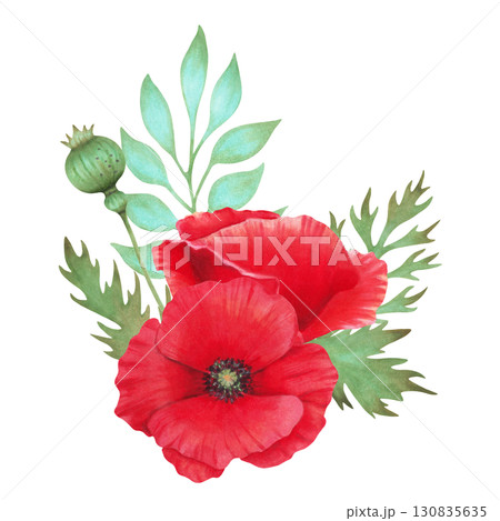 Poppy flower composition with pod, branch. Botanical watercolor, marker illustration. Hand drawn isolated work. Wild poppy festival. Spring and Labor Day. Traditional medicine cosmetology, packaging. 130835635